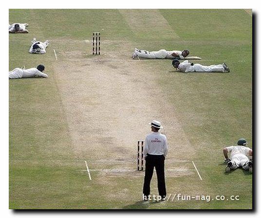 Name:  3.JPG
Views: 458
Size:  45.3 KB