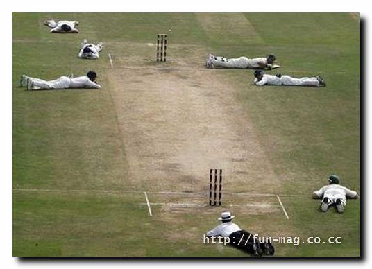 Name:  4.JPG
Views: 434
Size:  31.7 KB