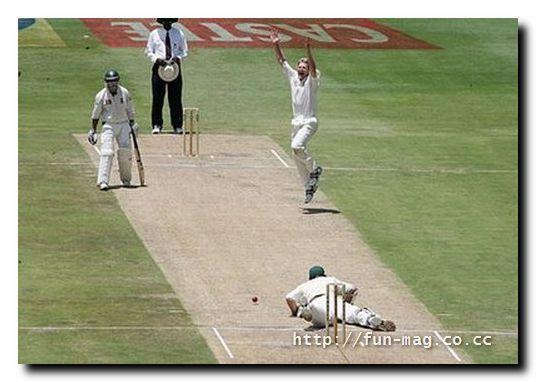 Name:  10.JPG
Views: 415
Size:  34.6 KB