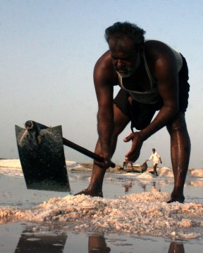 Name:  Mushtaq.jpg
Views: 294
Size:  28.7 KB