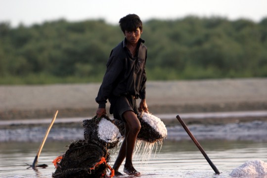 Name:  SALT-4.jpg
Views: 253
Size:  38.2 KB