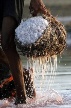 Name:  SALT-5.jpg
Views: 272
Size:  30.7 KB