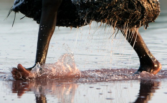 Name:  SALT-6.jpg
Views: 282
Size:  64.2 KB