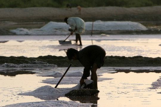 Name:  SALT-7.jpg
Views: 297
Size:  45.9 KB