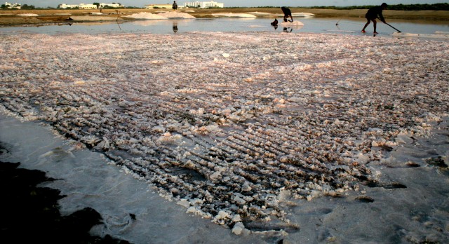 Name:  SALT.jpg
Views: 338
Size:  99.6 KB