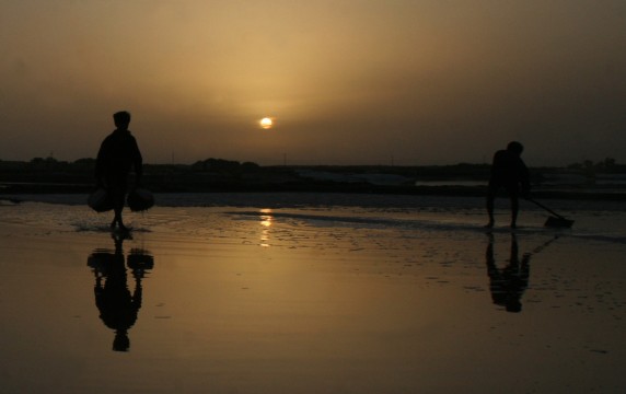 Name:  Sea-Salt-evopeate-2.jpg
Views: 320
Size:  25.2 KB