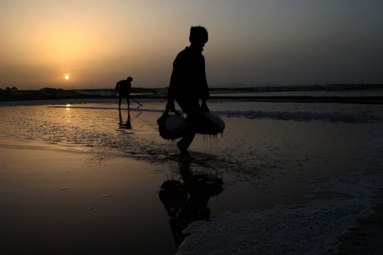 Name:  Sea-Salt-evopeate-4.jpg
Views: 274
Size:  29.8 KB