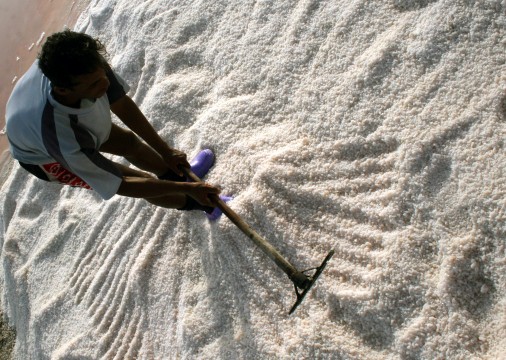 Name:  Sea-SaLT-Habib-1.jpg
Views: 294
Size:  84.8 KB