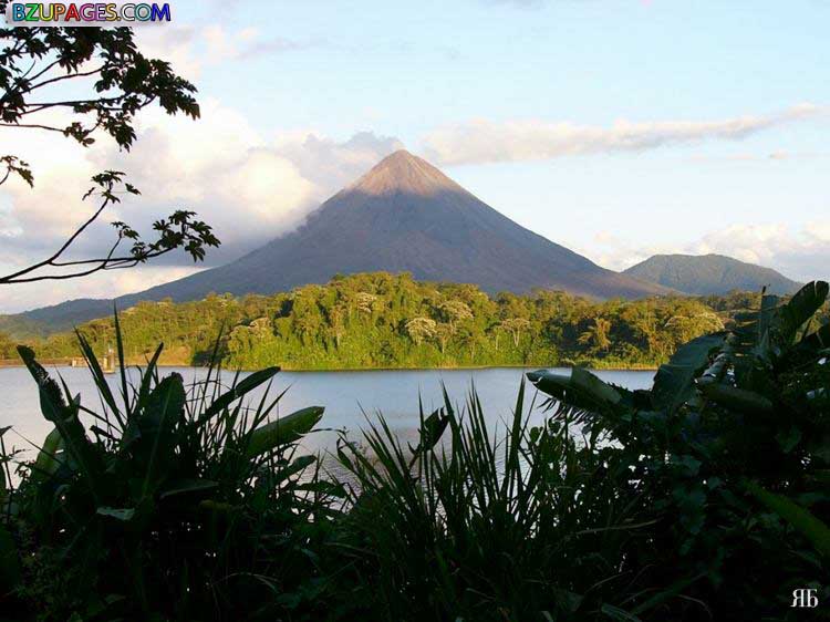 Name:  Costa Rica Image-005.jpg
Views: 427
Size:  78.3 KB