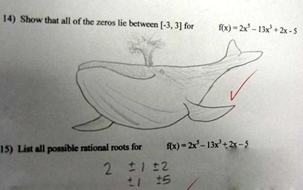 Name:  whale.jpg
Views: 2041
Size:  34.5 KB