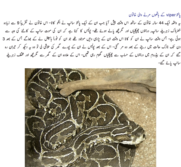 Name:  Palto Janwar 4.gif
Views: 813
Size:  154.9 KB