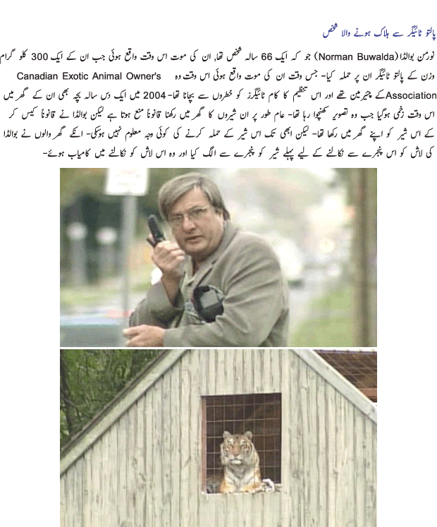 Name:  Palto Janwar 6.gif
Views: 564
Size:  165.1 KB