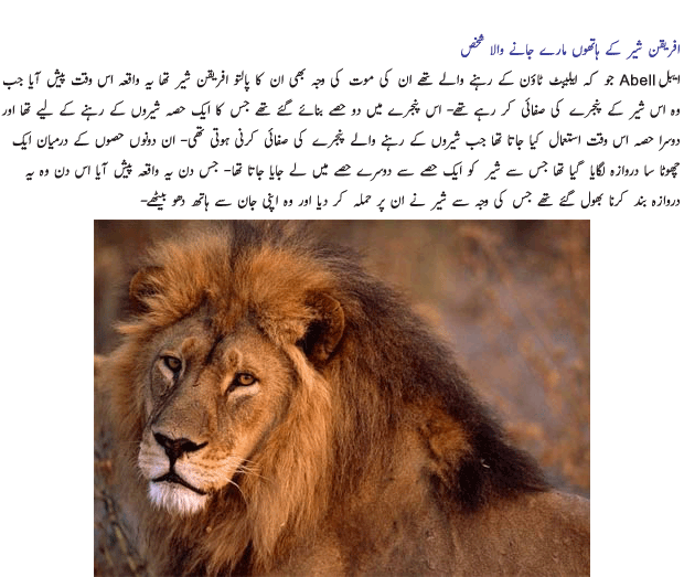 Name:  Palto Janwar 7.gif
Views: 801
Size:  130.5 KB