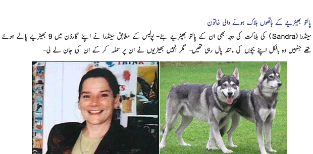 Name:  Palto Janwar 8.gif
Views: 597
Size:  77.5 KB