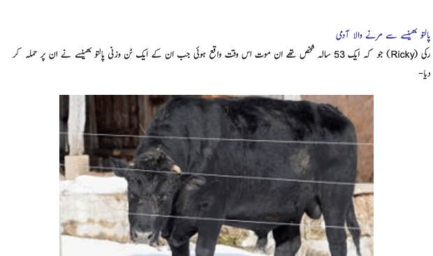 Name:  Palto Janwar 9.gif
Views: 791
Size:  72.9 KB