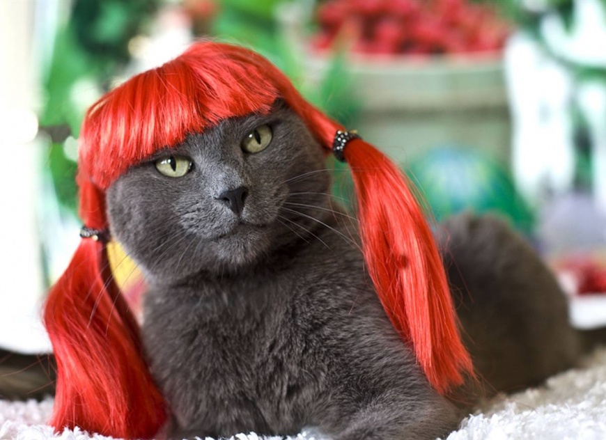 Name:  ss-091022-glamourpuss-03_ss_full.jpg
Views: 4558
Size:  158.4 KB