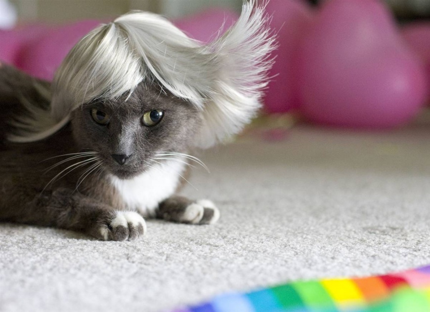 Name:  ss-091022-glamourpuss-05_ss_full.jpg
Views: 4450
Size:  148.7 KB