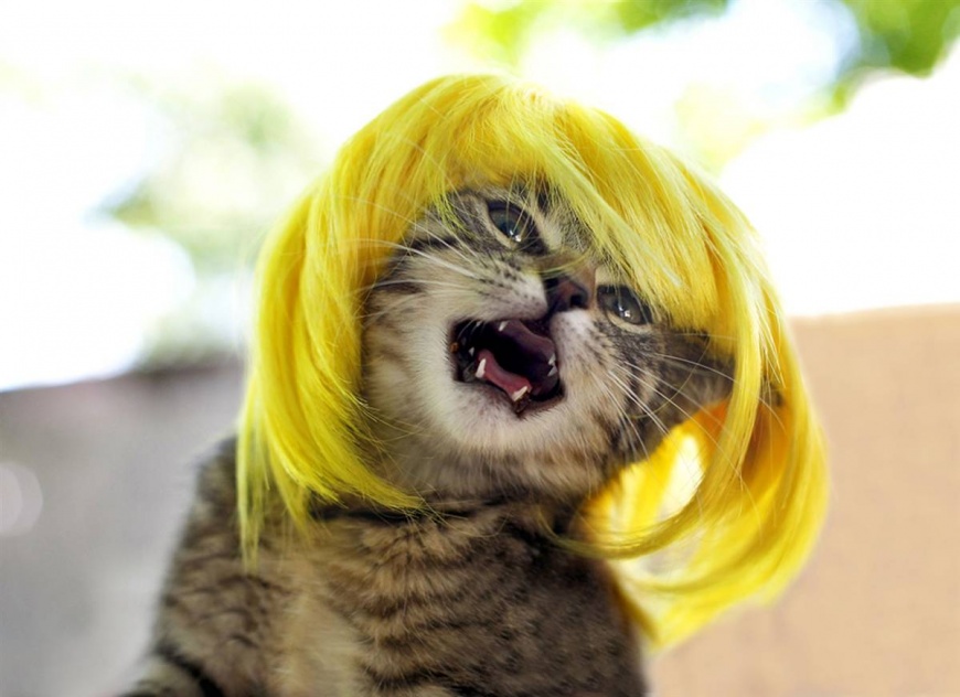 Name:  ss-091022-glamourpuss-06_ss_full.jpg
Views: 4368
Size:  125.3 KB