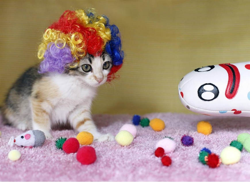 Name:  ss-091022-glamourpuss-09_ss_full.jpg
Views: 3954
Size:  151.5 KB
