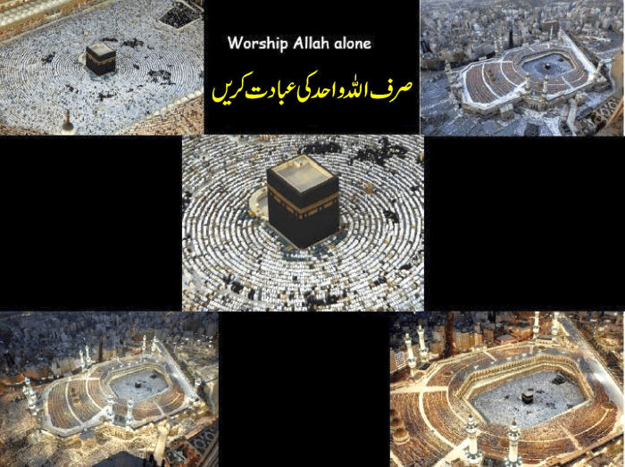 Name:  12.jpg
Views: 388
Size:  97.7 KB