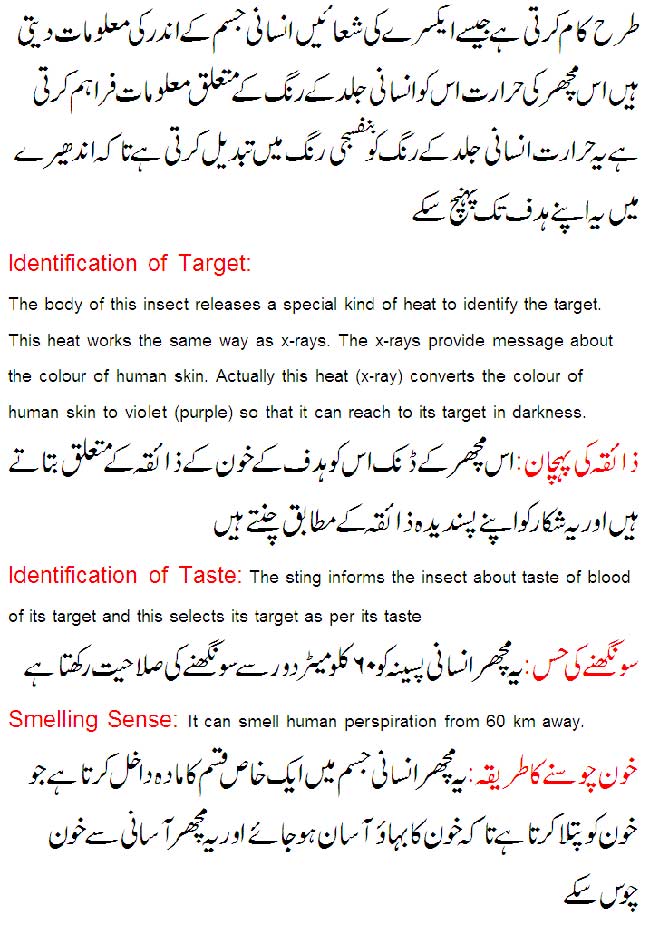 Name:  Allah's-Examples-are-Great-3.jpg
Views: 804
Size:  101.5 KB