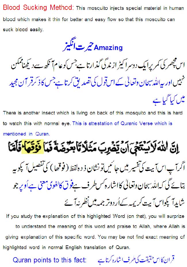 Name:  Allah's-Examples-are-Great-4.jpg
Views: 769
Size:  104.0 KB
