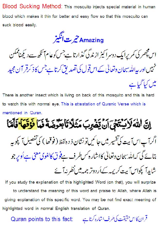 Name:  Allah's-Examples-are-Great-4.jpg
Views: 887
Size:  104.0 KB