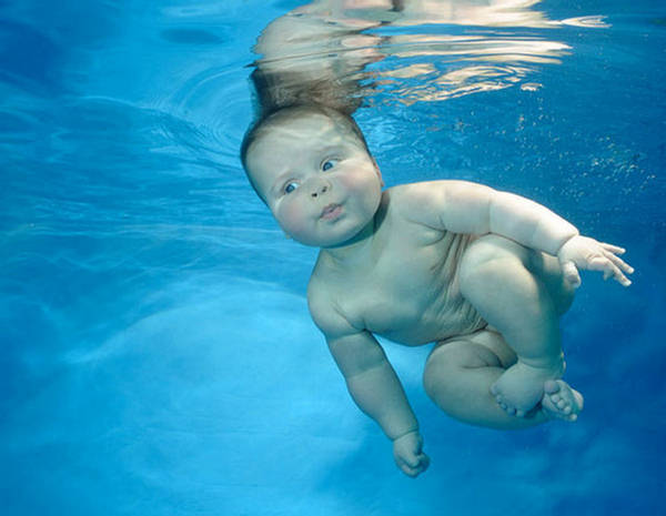 Name:  The Babies - Swimming Under Water (8).jpg
Views: 1081
Size:  35.7 KB