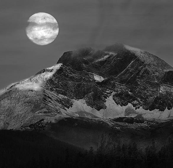 Name:  Moon Meets Earth - Ultra Zoom View 4.jpg
Views: 1036
Size:  66.2 KB