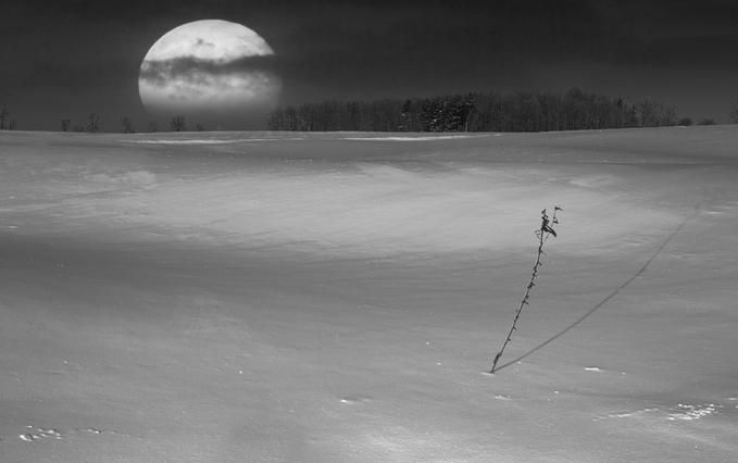 Name:  1796Moon Meets Earth - Ultra Zoom View 5.jpg
Views: 968
Size:  41.0 KB
