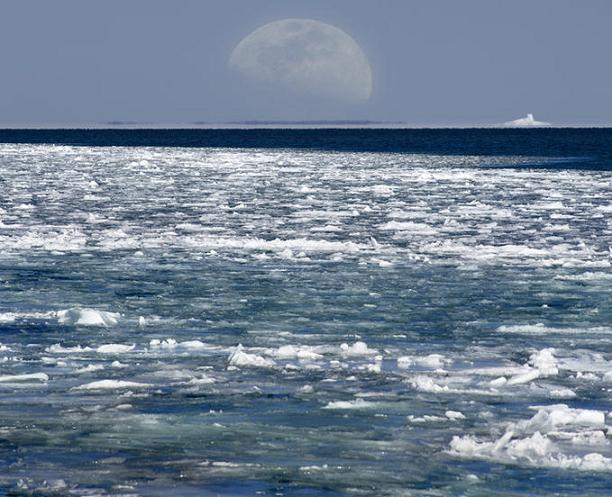 Name:  Moon Meets Earth - Ultra Zoom View 8.jpg
Views: 1652
Size:  82.9 KB