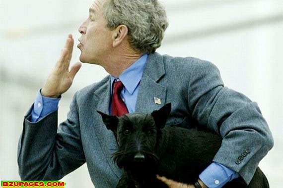 Name:  Bright moments of George W. Bush (9).jpg
Views: 798
Size:  45.2 KB