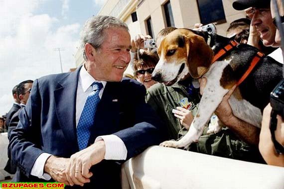 Name:  Bright moments of George W. Bush (24).jpg
Views: 488
Size:  59.5 KB