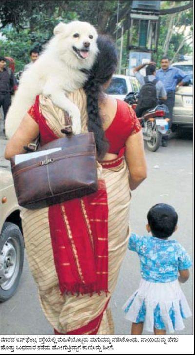 Name:  1.JPG
Views: 506
Size:  54.1 KB