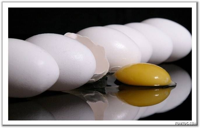 Name:  5.jpg
Views: 285
Size:  28.6 KB