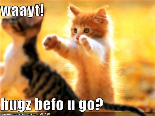 Name:  funny-pictures-kittens-hugs-before-you-go.jpg
Views: 33287
Size:  29.1 KB