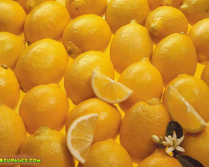 Name:  Lemon Fresh Summer Fruits (4).jpeg
Views: 3966
Size:  54.0 KB