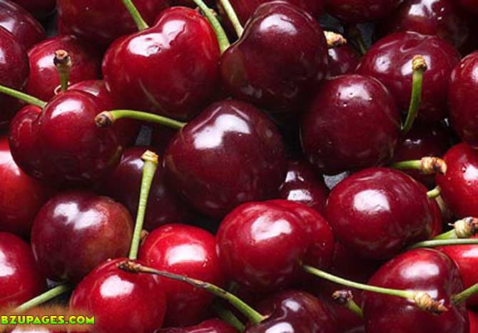 Name:  Aalo Bukhara Fresh Summer Fruits (2).jpeg
Views: 6613
Size:  57.5 KB