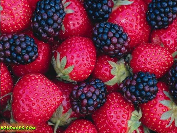 Name:  Shehtoot Fresh Summer Fruits (6).jpeg
Views: 5692
Size:  77.7 KB
