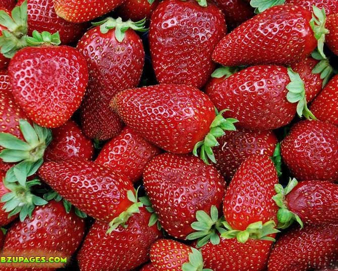 Name:  Straw Berri Fresh Summer Fruits (3).jpeg
Views: 3550
Size:  135.8 KB