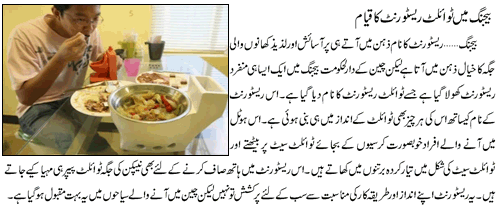 Name:  Tolilet resturannt.gif
Views: 3881
Size:  37.7 KB