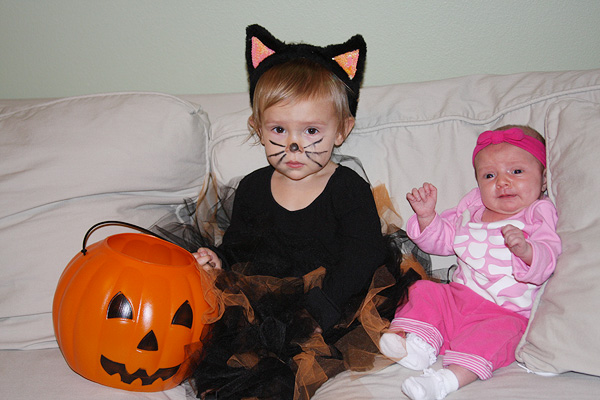Name:  IMG_3373web.jpg
Views: 3875
Size:  130.0 KB