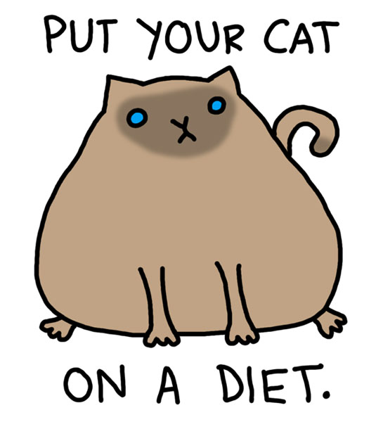 Name:  that-cat-is-fucking-corpulent.jpg
Views: 4616
Size:  67.5 KB
