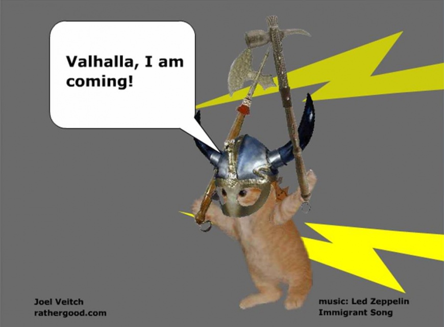 Name:  ValhallaVikingKitten.jpg
Views: 2973
Size:  81.7 KB