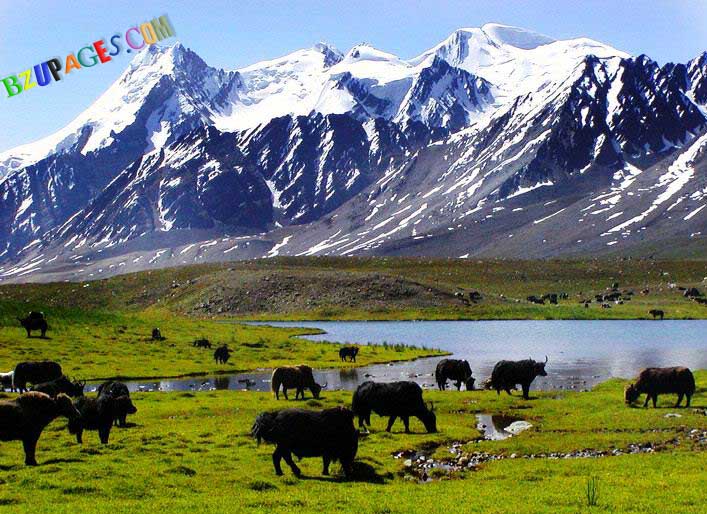 Name:  A Hidden Lake Karumbar in Pakistan..jpg
Views: 22586
Size:  112.1 KB