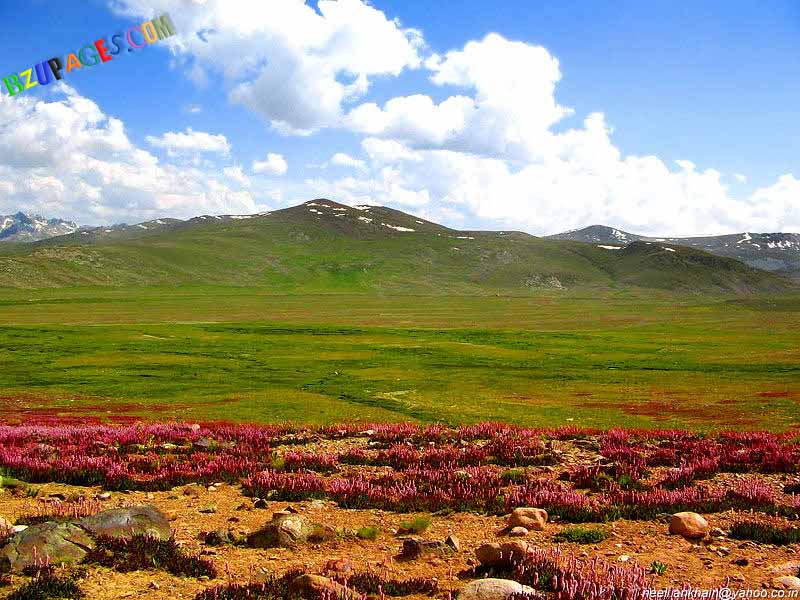 Name:  The picture of deosai one of the highest pleatue in the world..jpg
Views: 3812
Size:  110.0 KB