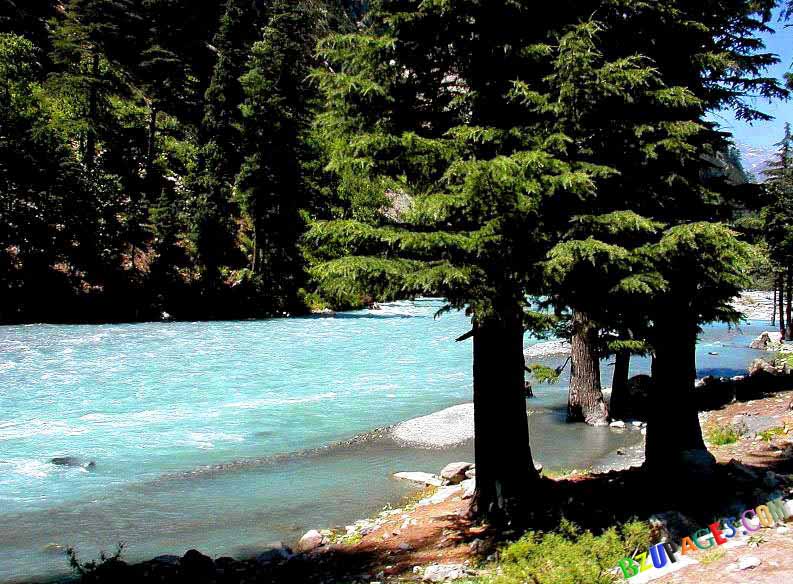 Name:  Ushu nad Utror valleys of Swat..jpg
Views: 3622
Size:  122.6 KB