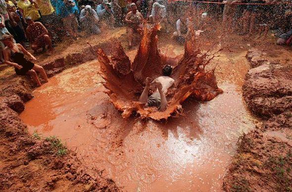 Name:  Best Photography Of The Month (2).jpg
Views: 2741
Size:  65.5 KB