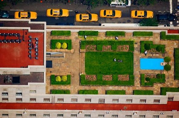 Name:  Best Photography Of The Month (3).jpg
Views: 519
Size:  56.8 KB