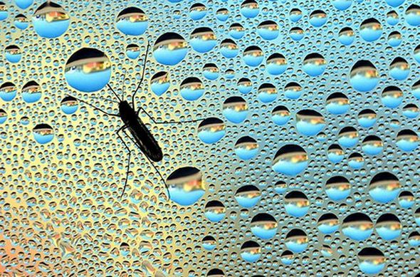 Name:  Best Photography Of The Month (4).jpg
Views: 565
Size:  98.5 KB